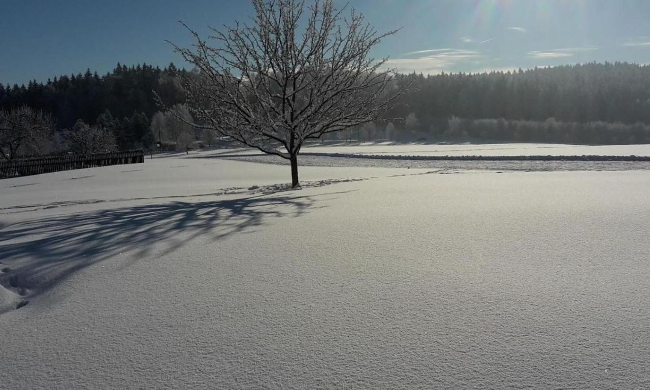 Chata Rozany Šluknov Esterno foto
